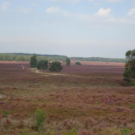 El Manso ベッド・アンド・ブレックファスト エムスト