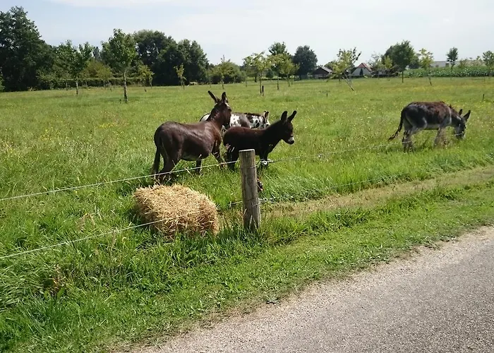 住宿加早餐酒店 El Manso