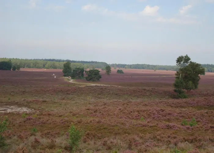 El Manso 住宿加早餐酒店 埃姆斯特