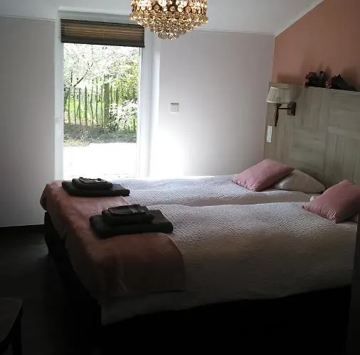 El Manso 埃姆斯特